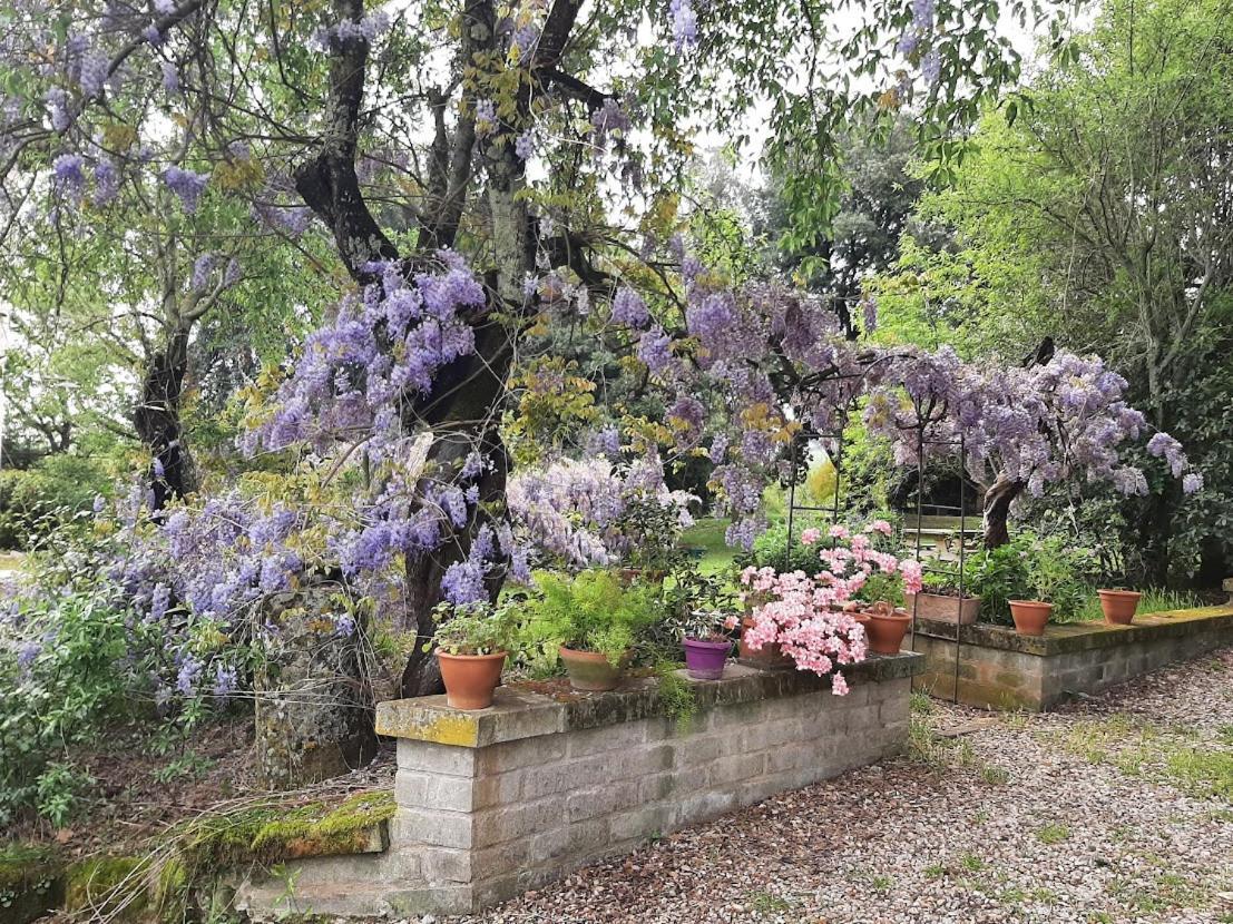 Agriturismo La Romanella Villa Viterbo Buitenkant foto